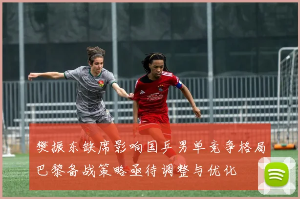 樊振东缺席影响国乒男单竞争格局巴黎备战策略亟待调整与优化