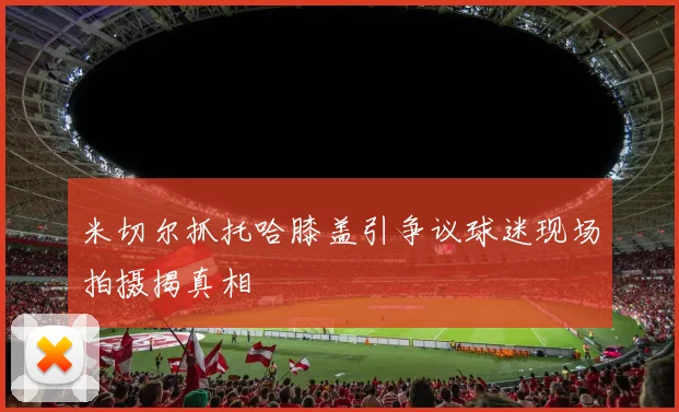 米切尔抓托哈膝盖引争议球迷现场拍摄揭真相