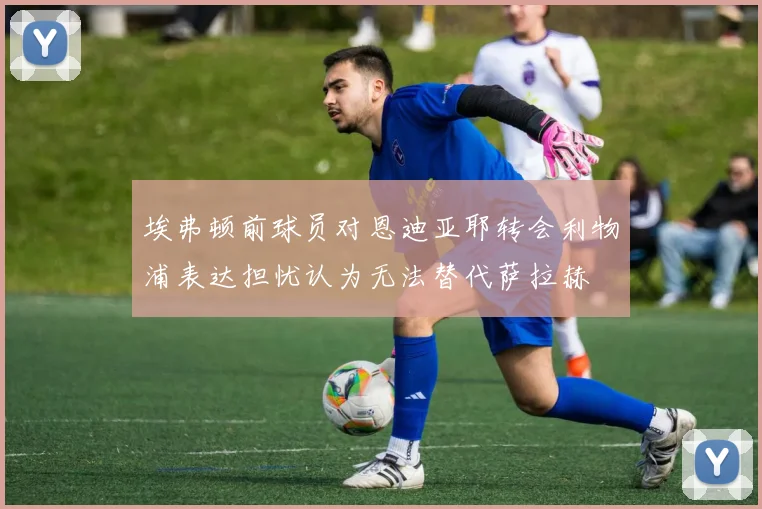 埃弗顿前球员对恩迪亚耶转会利物浦表达担忧认为无法替代萨拉赫